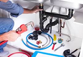 Best Trenchless Pipe Repair  in Winfield, IA